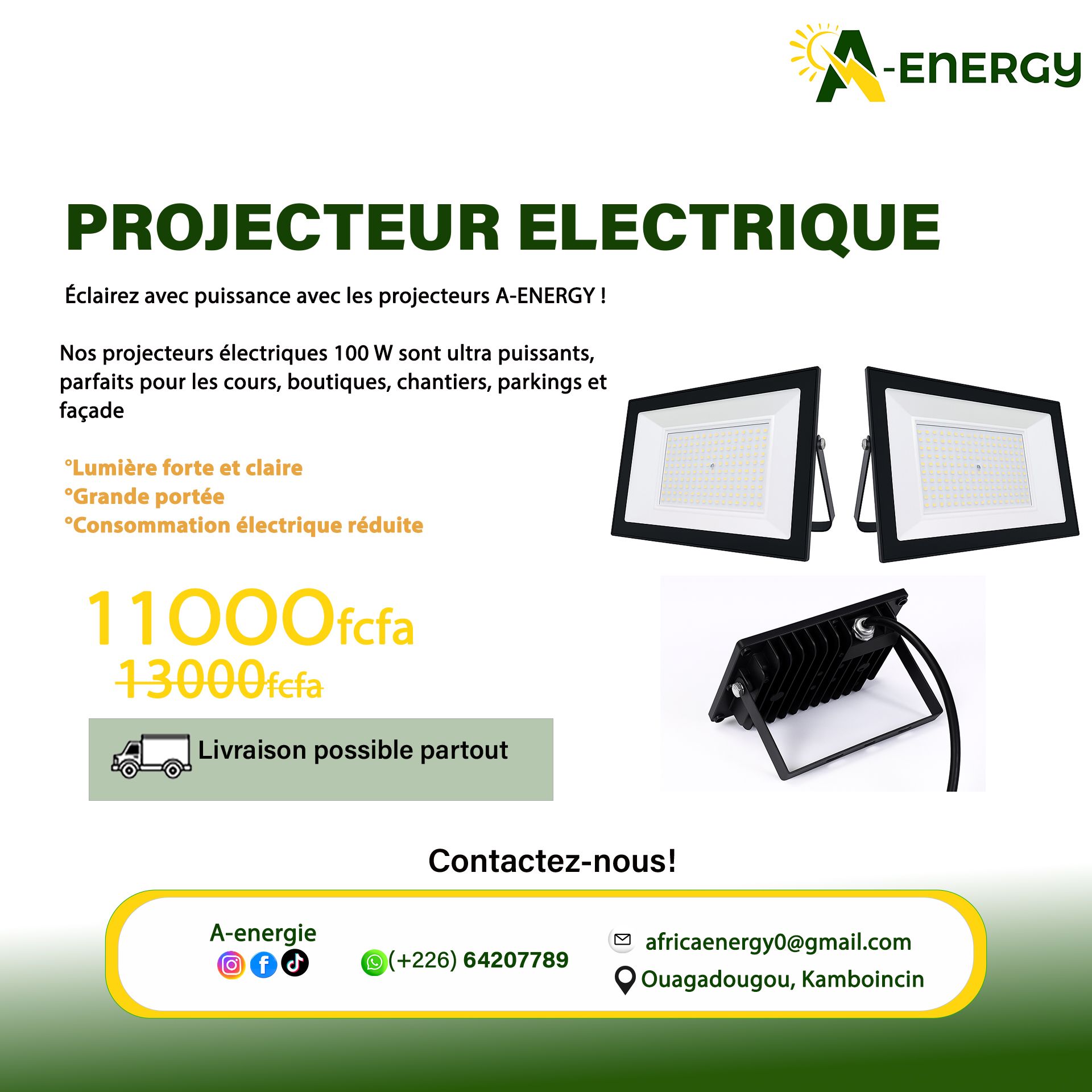 Projecteur électrique
